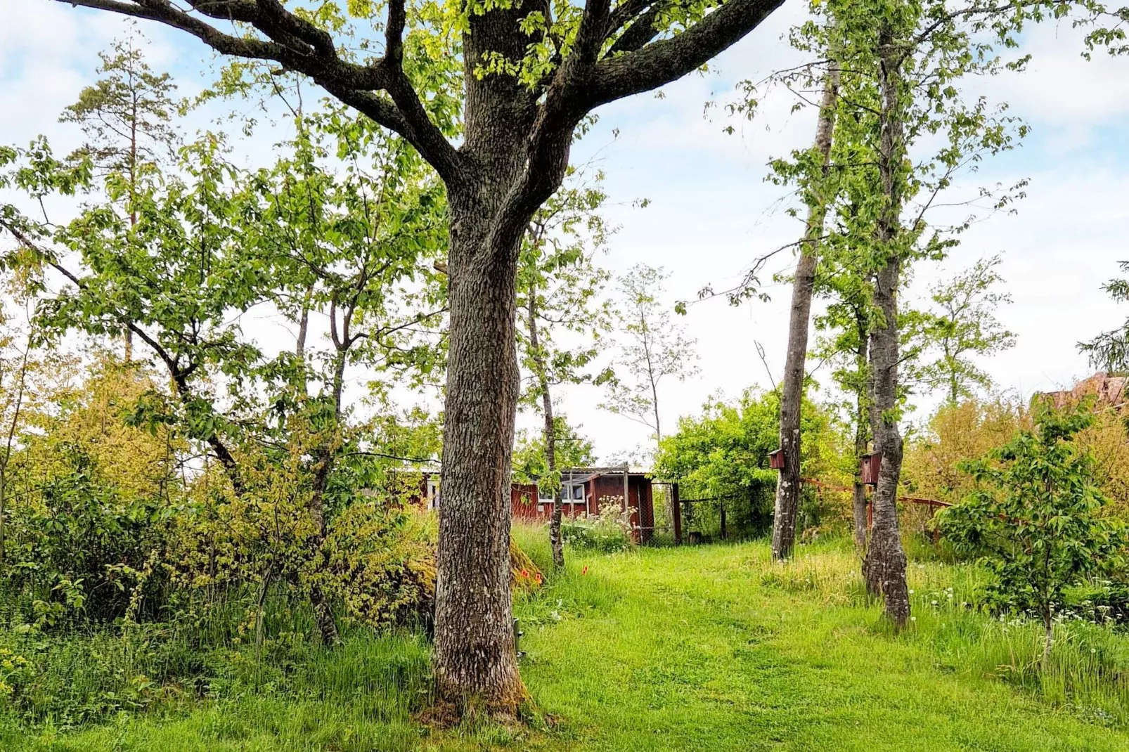 4 persoons vakantie huis in SÖDERKÖPING-Buitenlucht