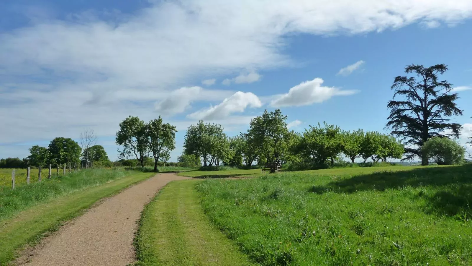Savigny-Gebieden zomer 1km