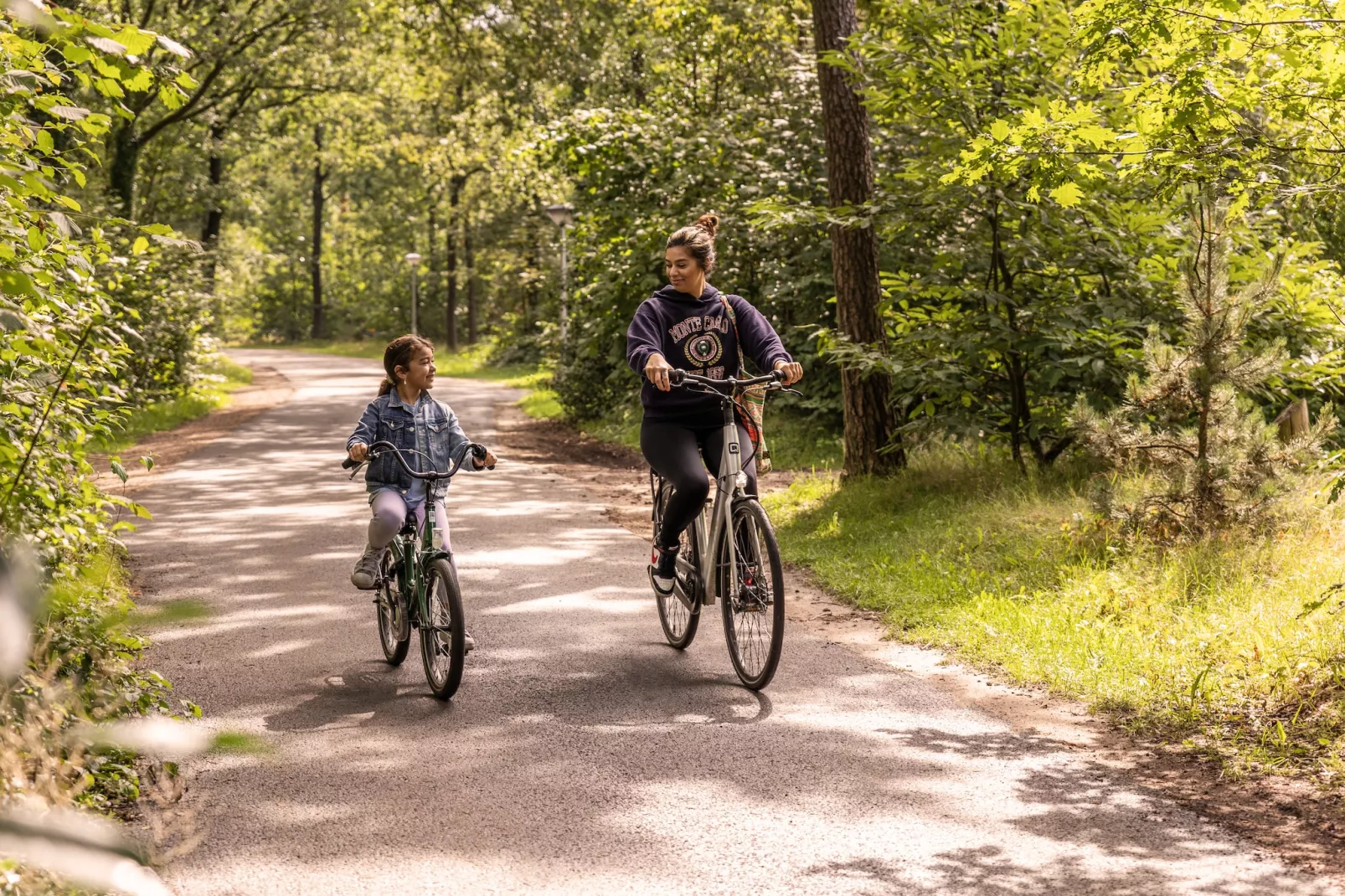 Parc Heihaas 3-Gebieden zomer 1km
