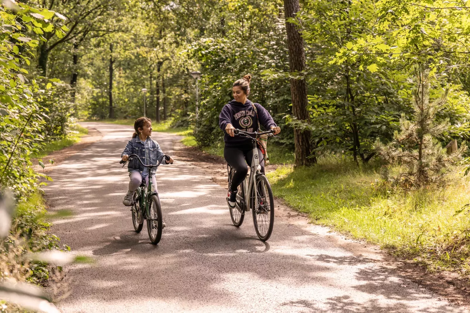 Parc Heihaas 8-Gebieden zomer 1km