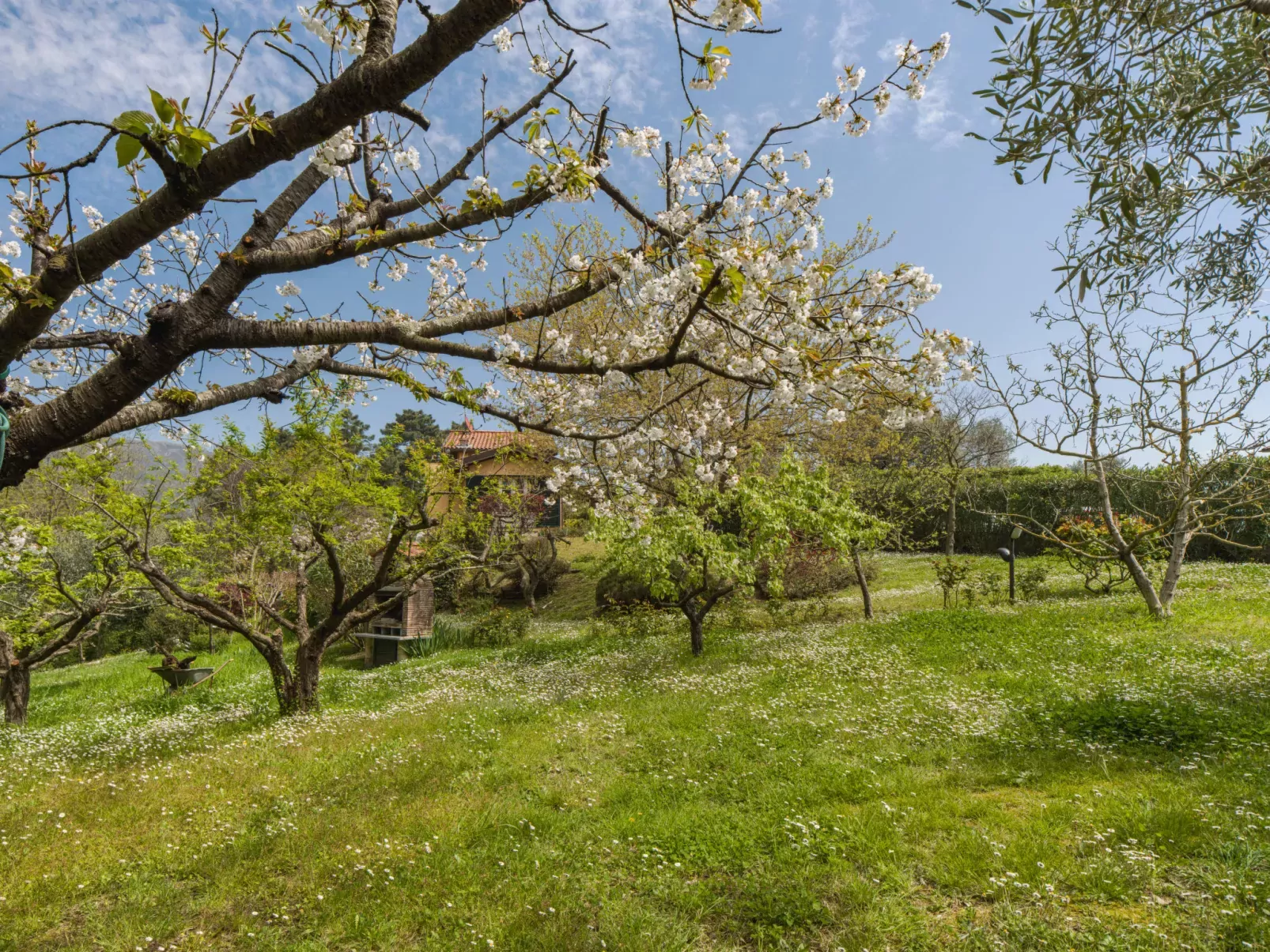 Casa Gianna-Buiten