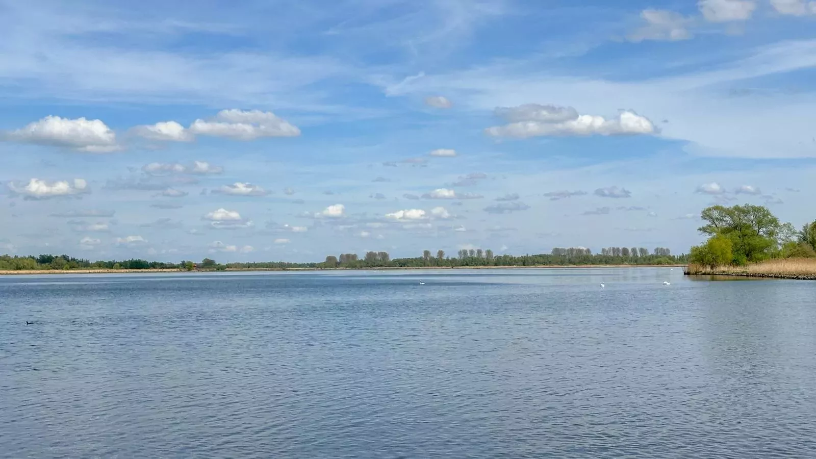 Biesboschhuisje-Gebieden zomer 1km
