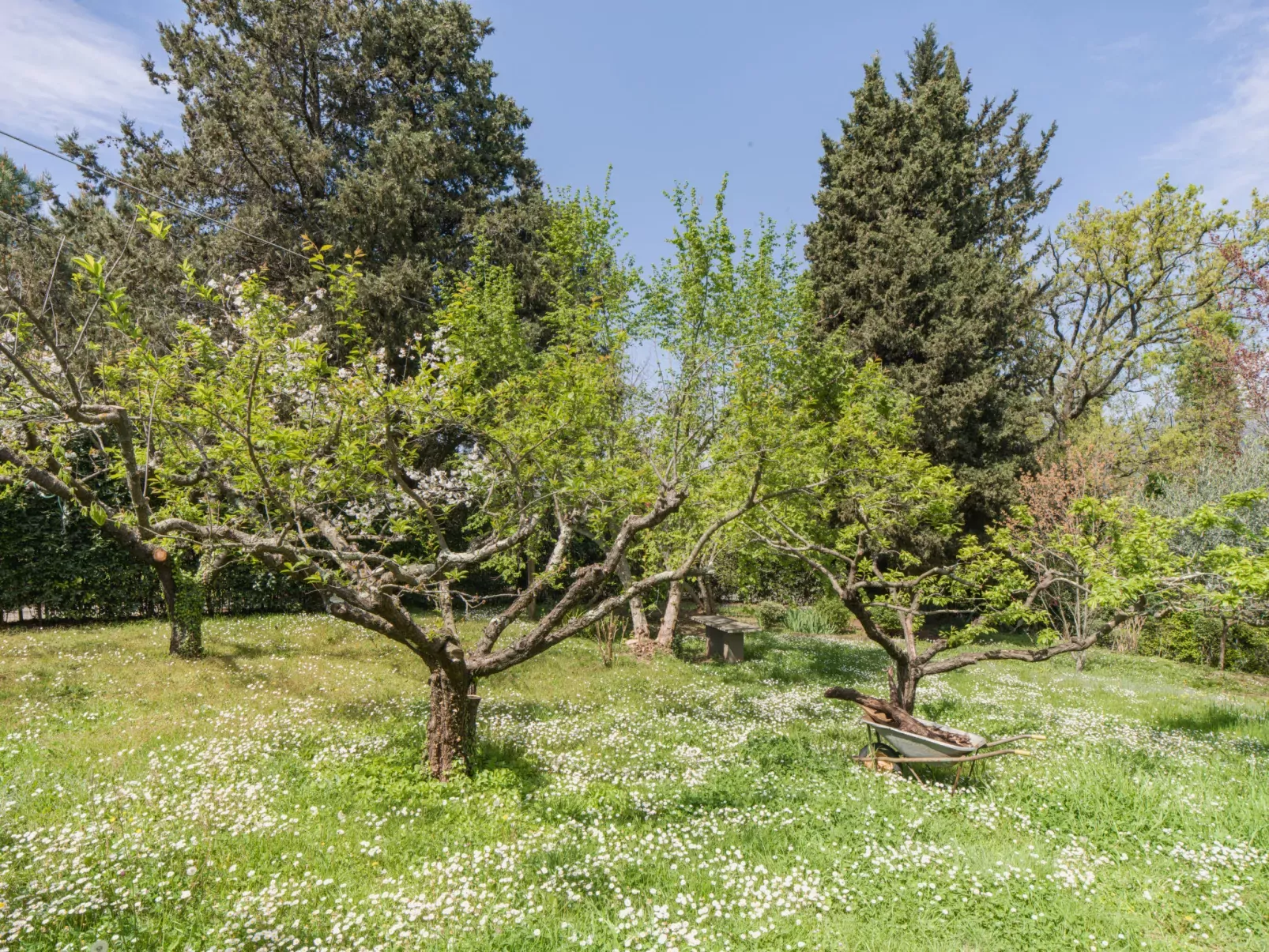 Casa Gianna-Buiten