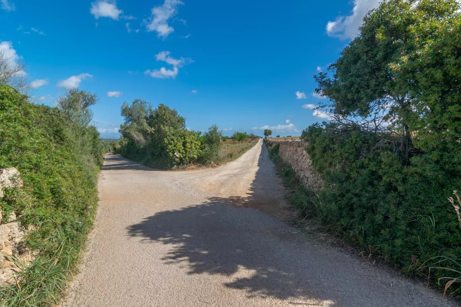Son Gener (manacor)-Buitenkant zomer