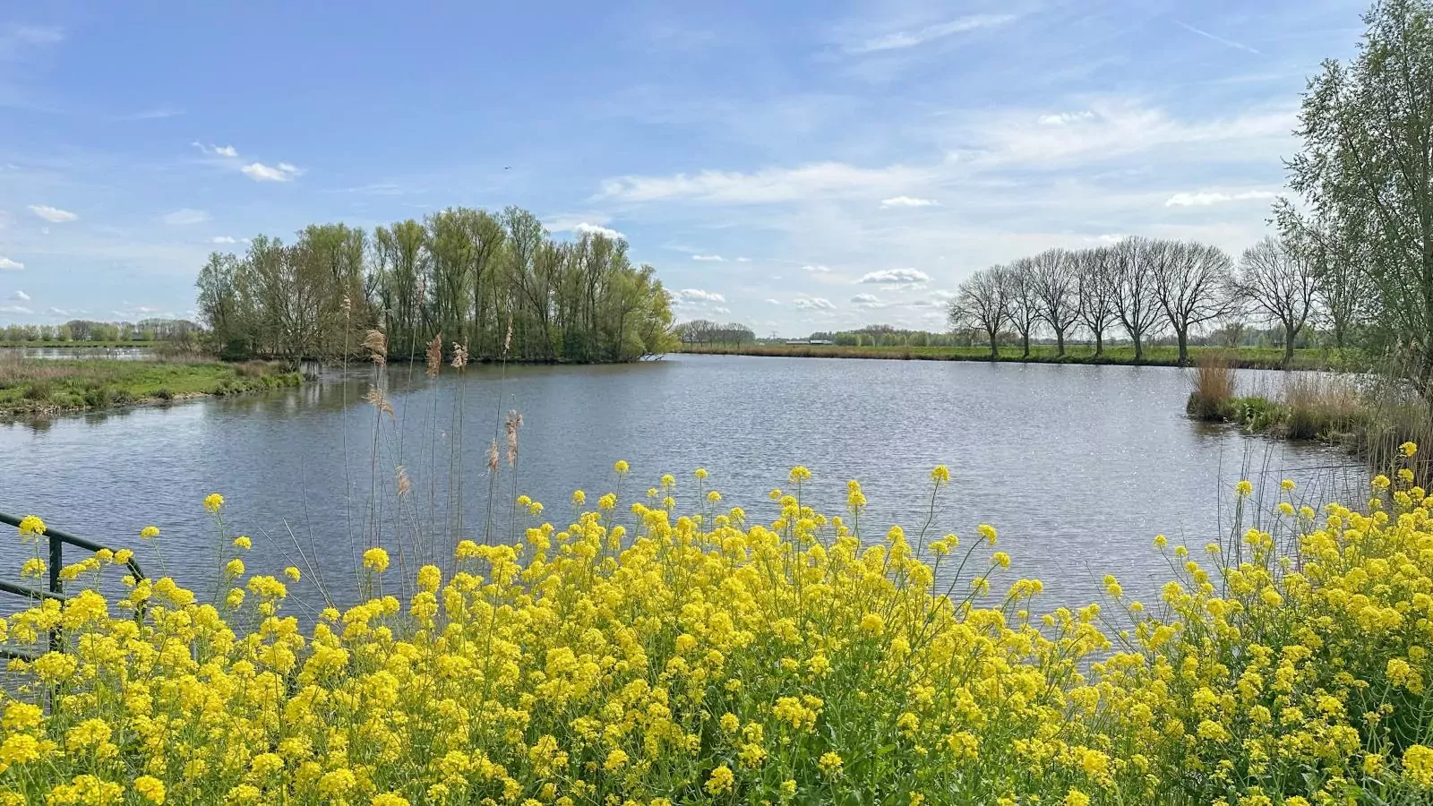 Biesboschhuisje-Gebieden zomer 1km