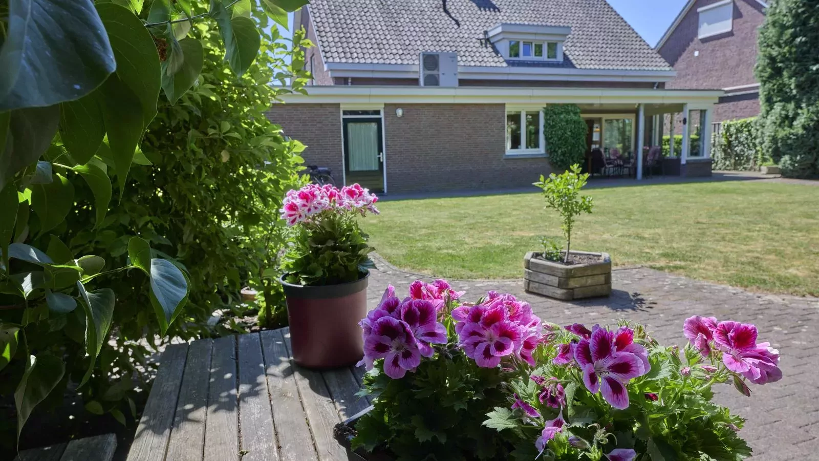 Lionshuis-Tuinen zomer
