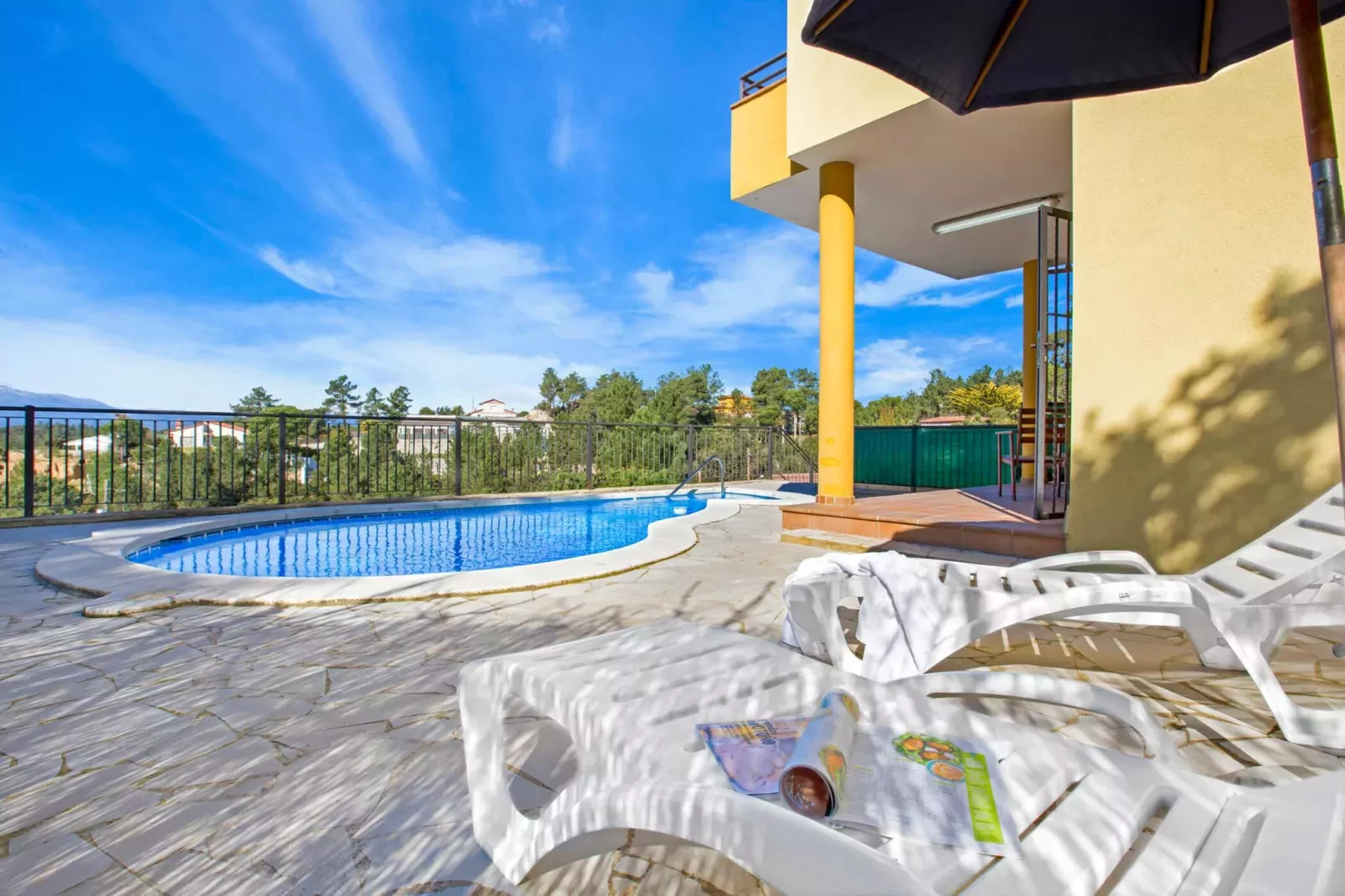 Camelia-Wellness