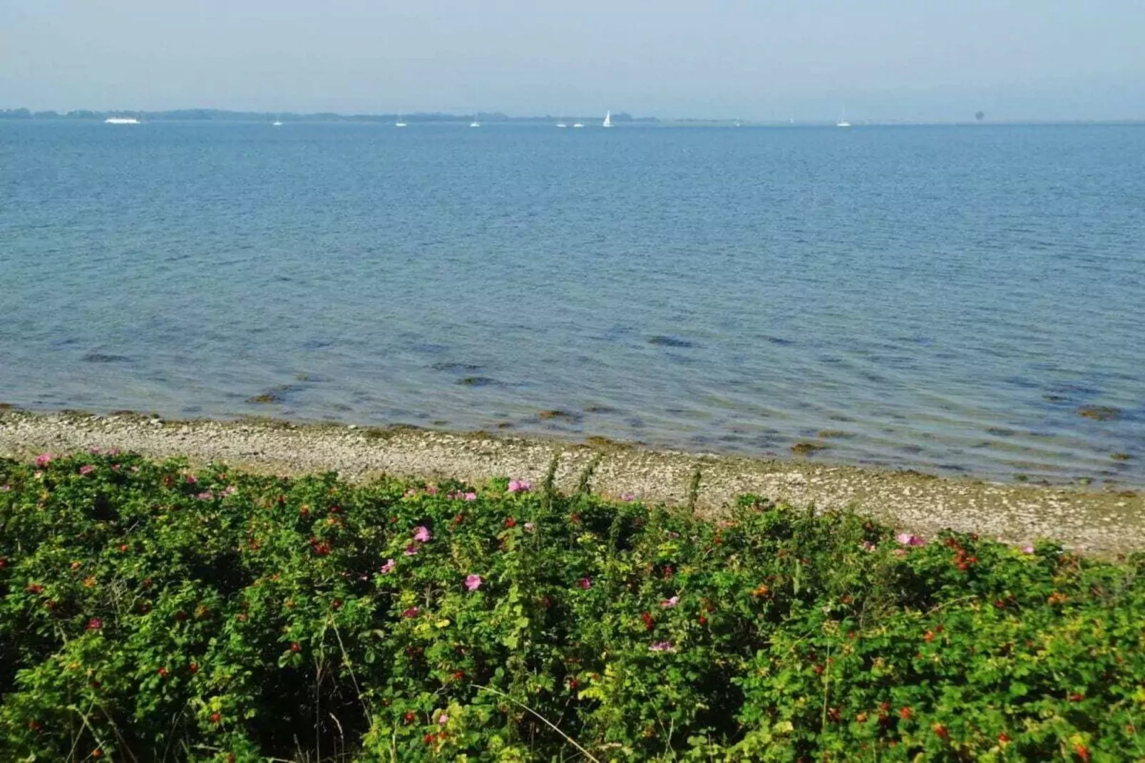 230417-Gebieden zomer 5km
