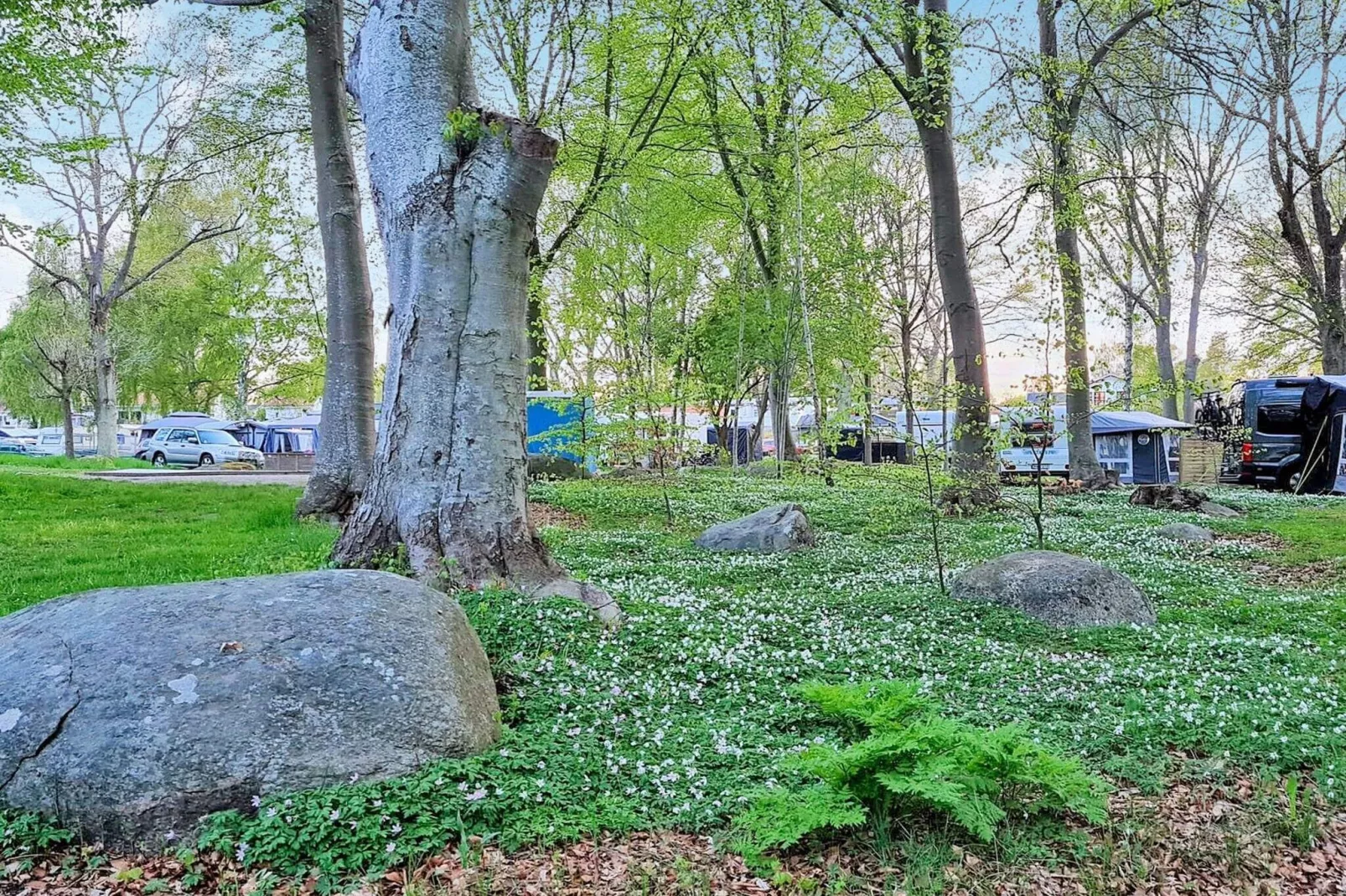 7 persoons vakantie huis in SÖLVESBORG-By Traum-Niet-getagd