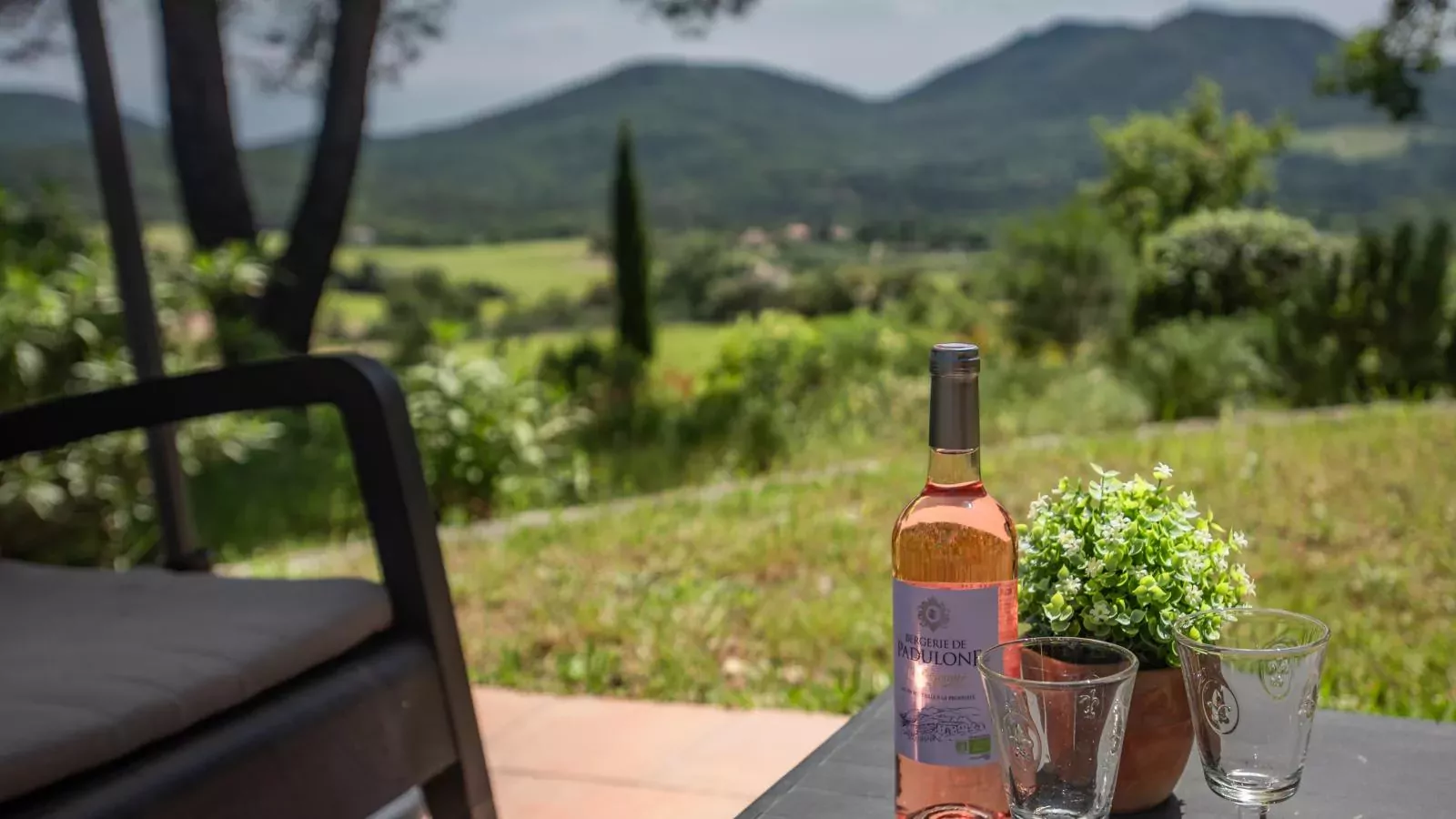 Entre les vignes-Tuinen zomer