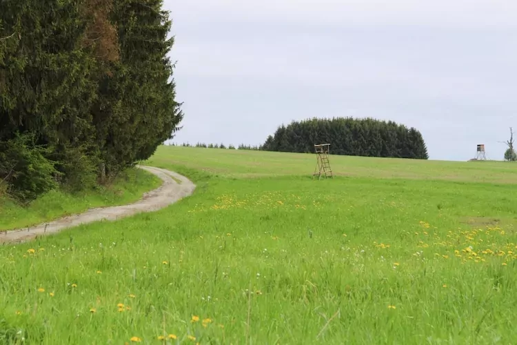 Hexenzauber I und II-Tuinen zomer