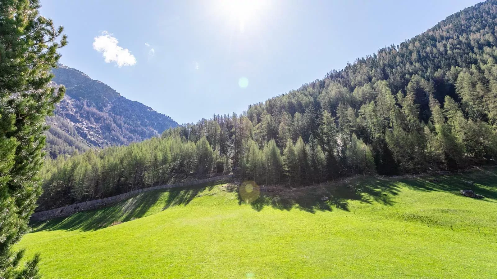 Haus Daniela-Gebieden zomer 1km