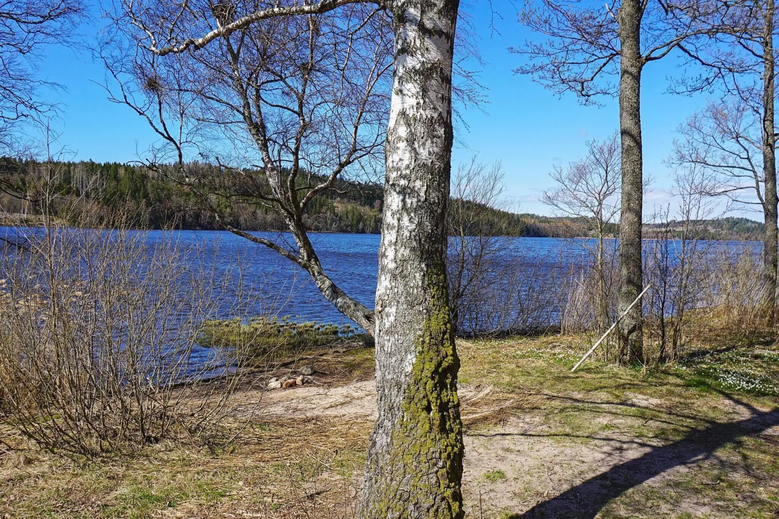 4 persoons vakantie huis in HÄLLEVADSHOLM-By Traum-Niet-getagd