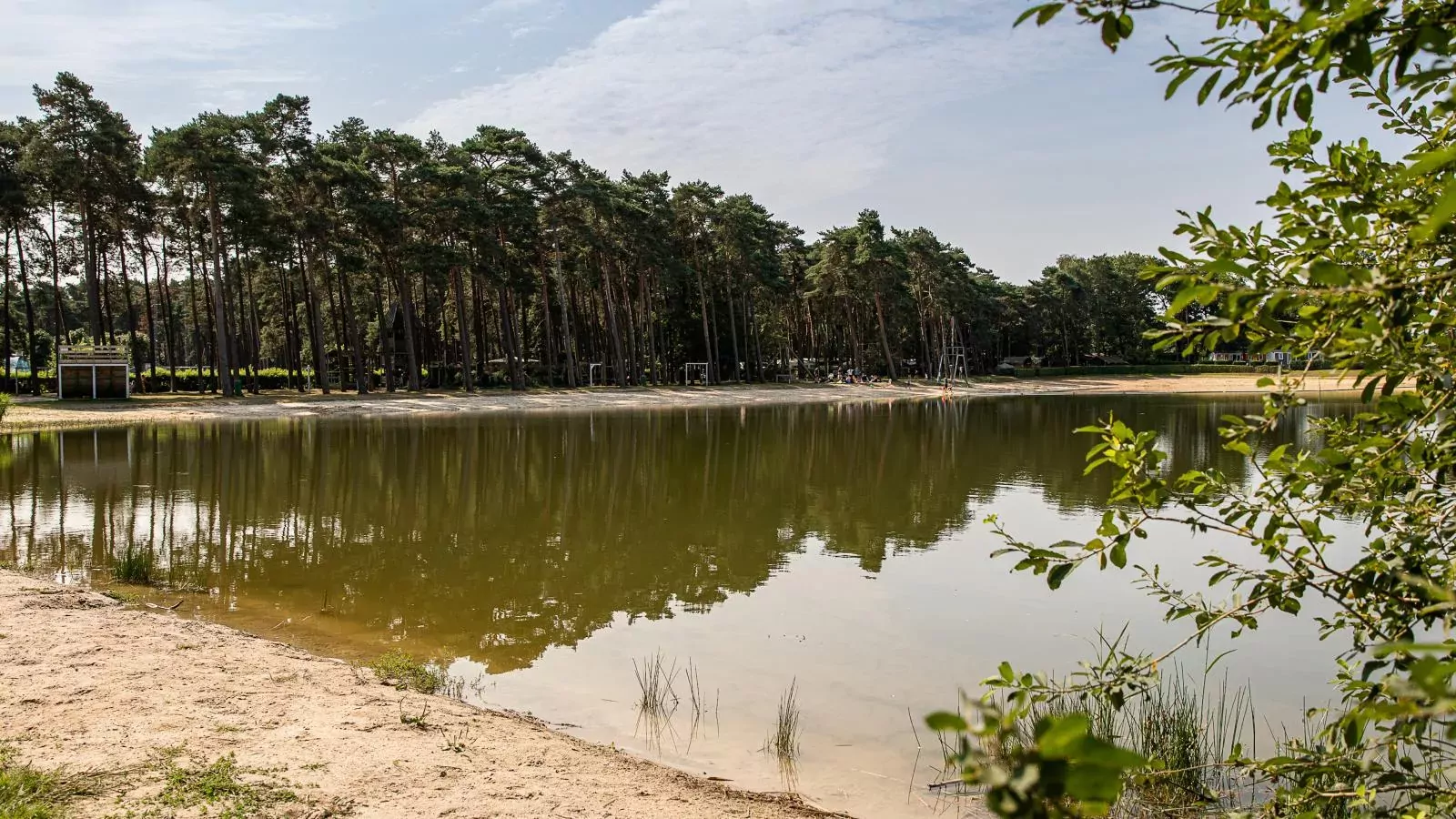 Veldzicht-Gebieden zomer 1km
