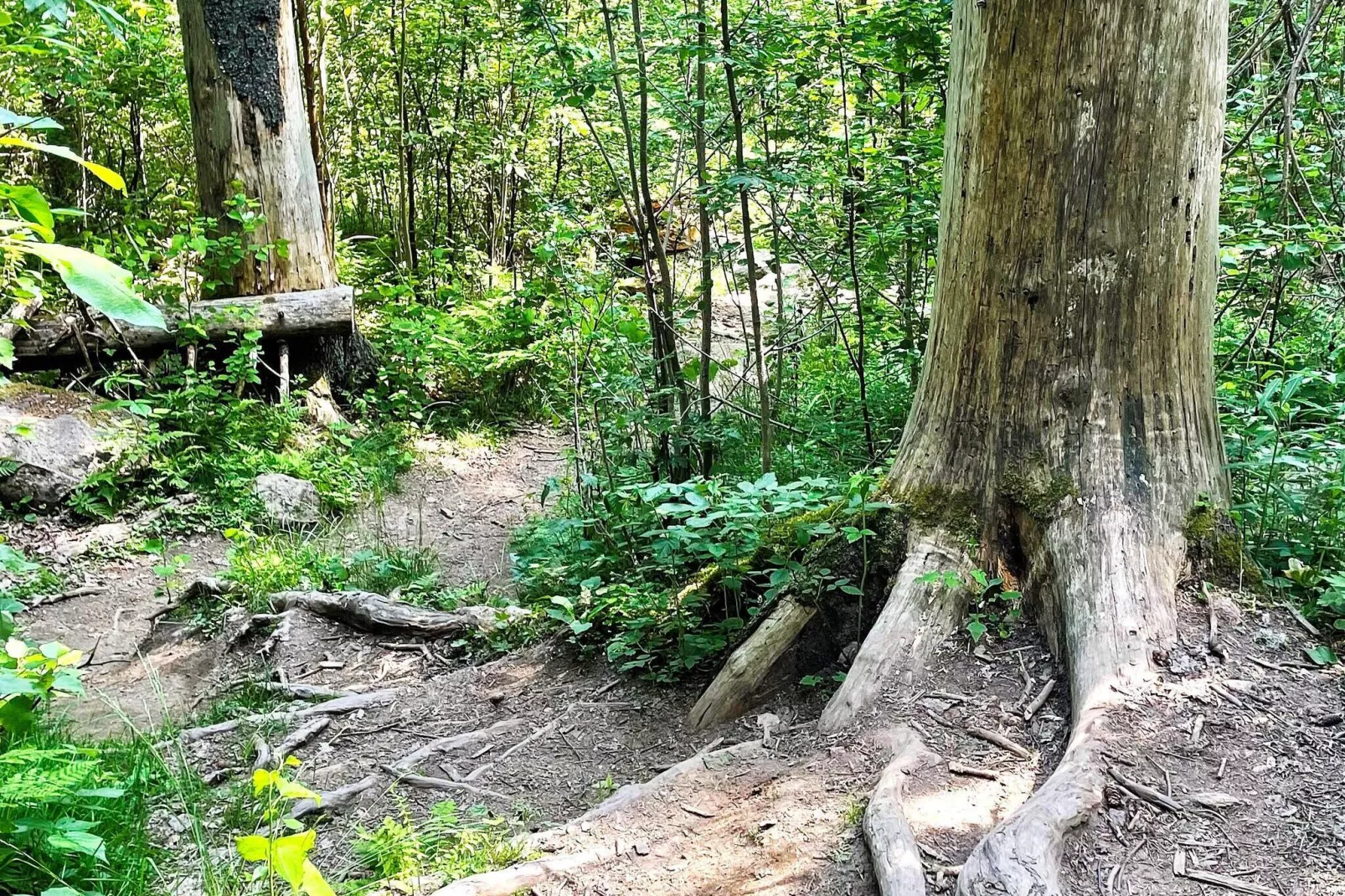 7 persoons vakantie huis in SKOG-Niet-getagd