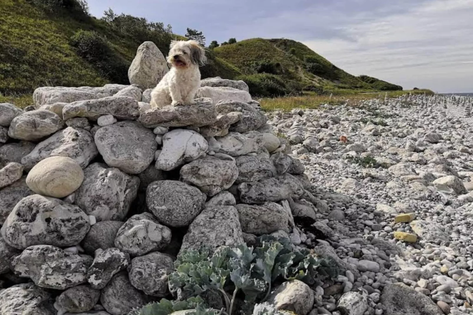 Rustig toevluchtsoord bij Overby Lyng-By Traum