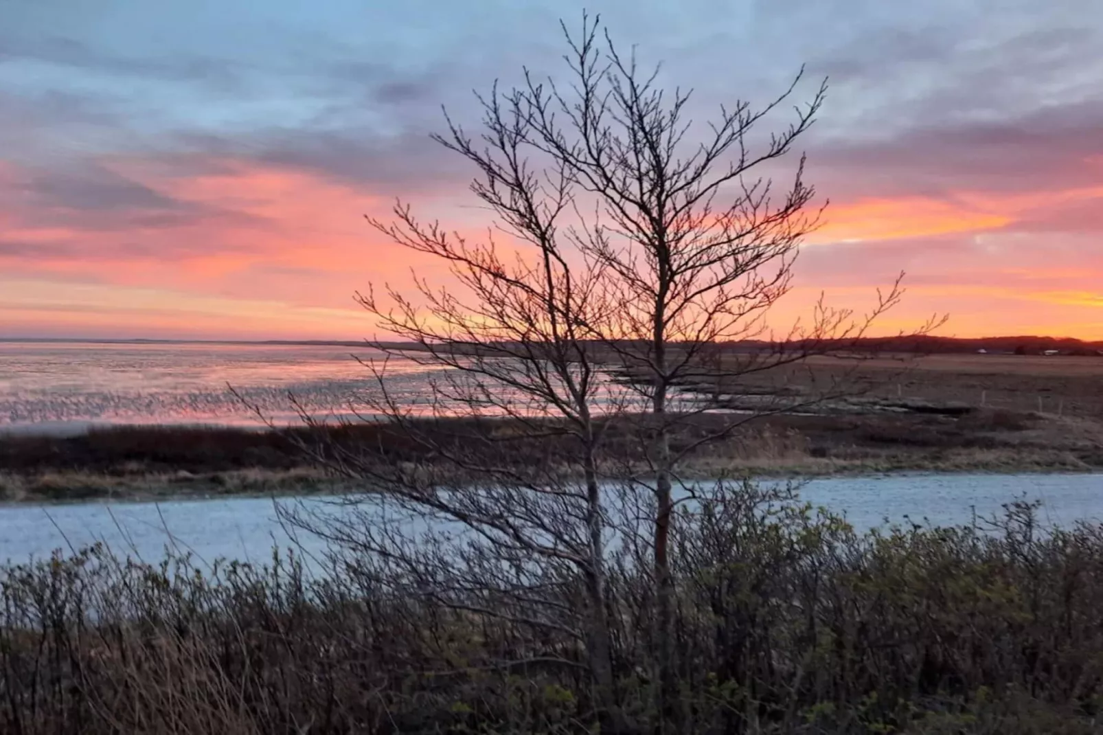 Lichte kustschuilplaats in LyngsAY-By Traum-Waterzicht