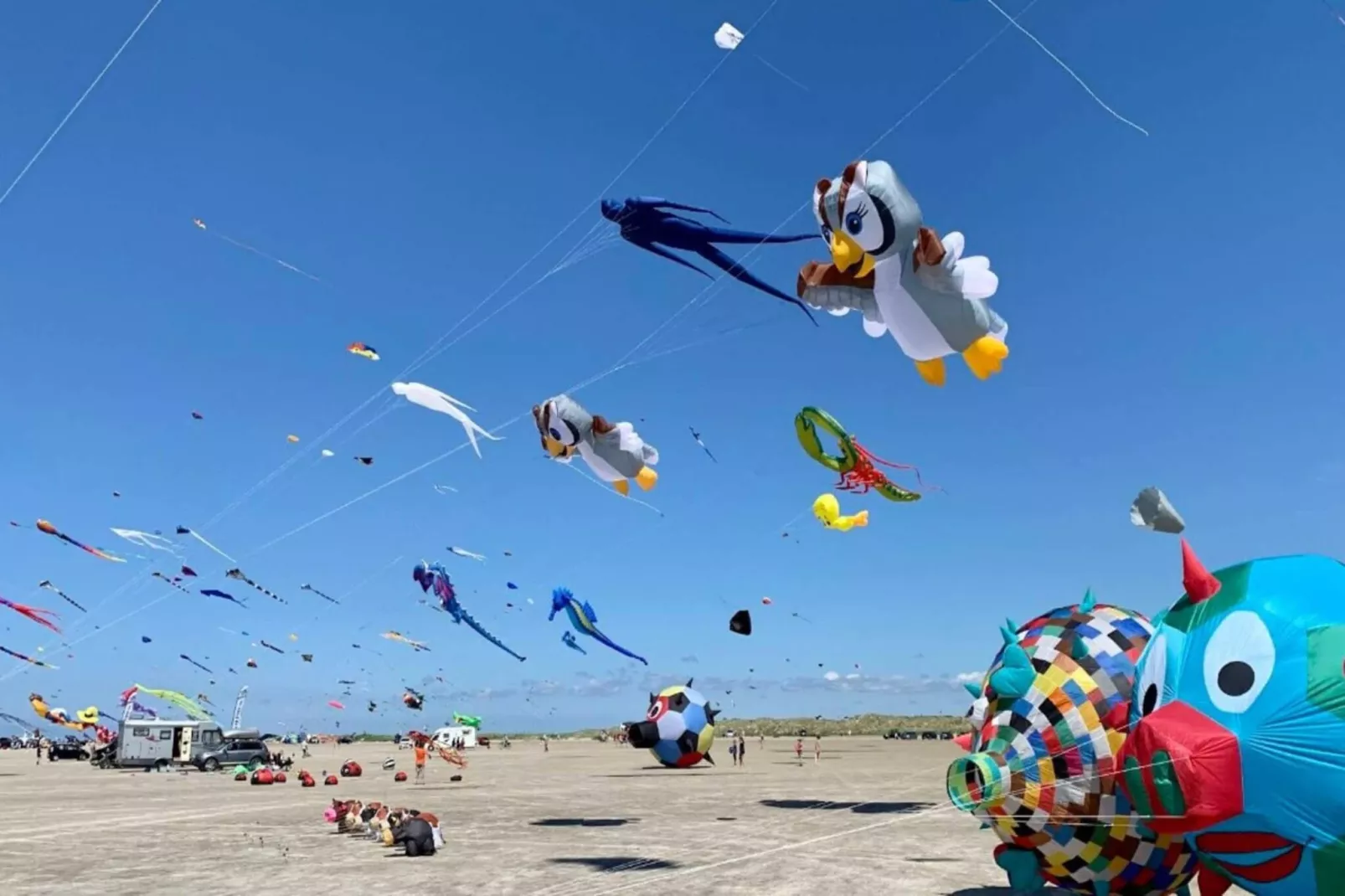 7 persoons vakantie huis in Fanø-By Traum