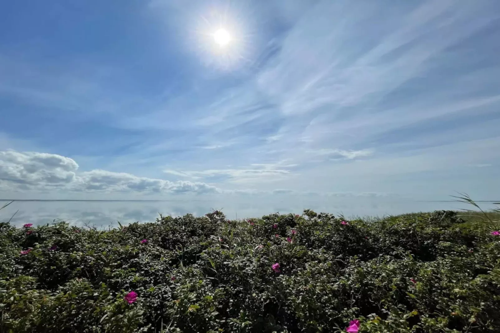 4 persoons vakantie huis in Ringkøbing-By Traum