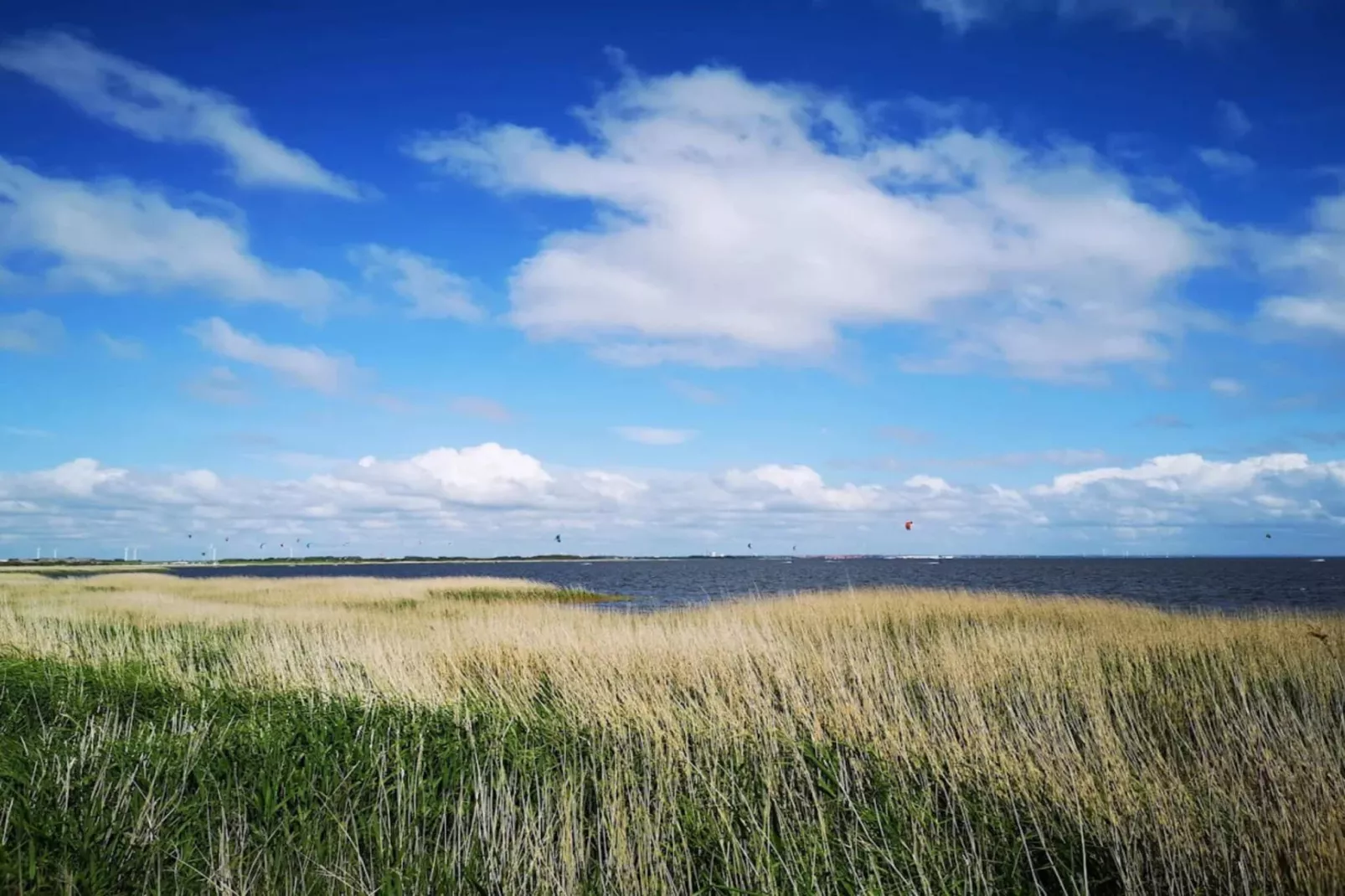 5 persoons vakantie huis in Ringkøbing-By Traum-Niet-getagd
