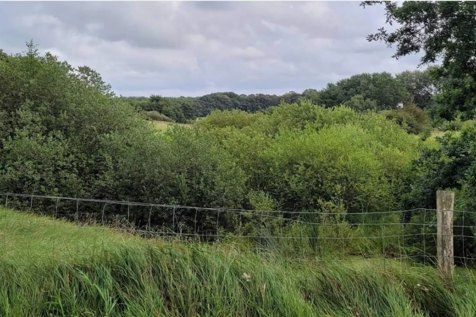 4 persoons vakantie huis in Hovborg-By Traum