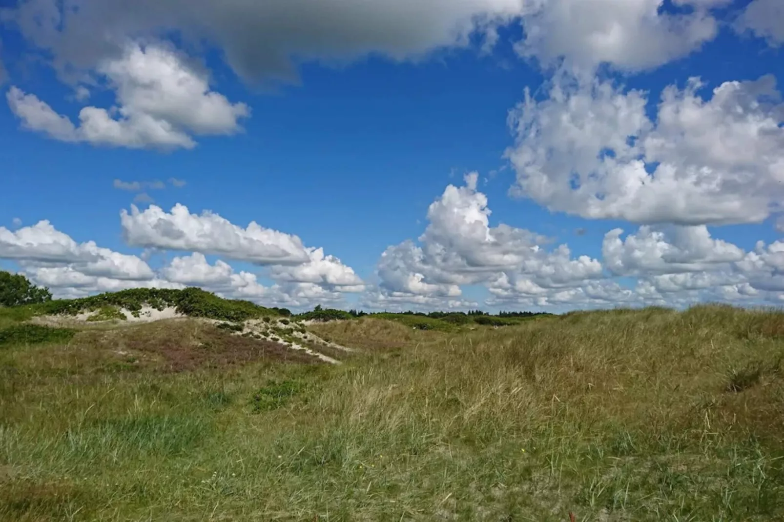 6 persoons vakantie huis in Hals-By Traum