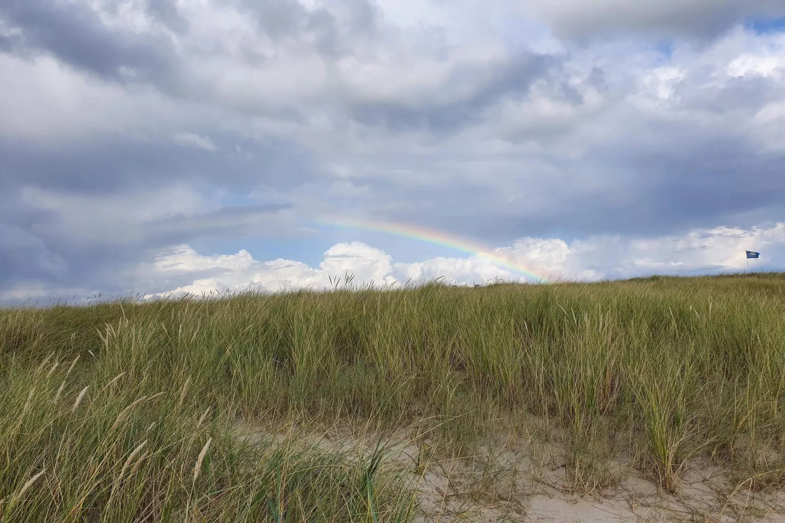 8 persoons vakantie huis in Blåvand-By Traum