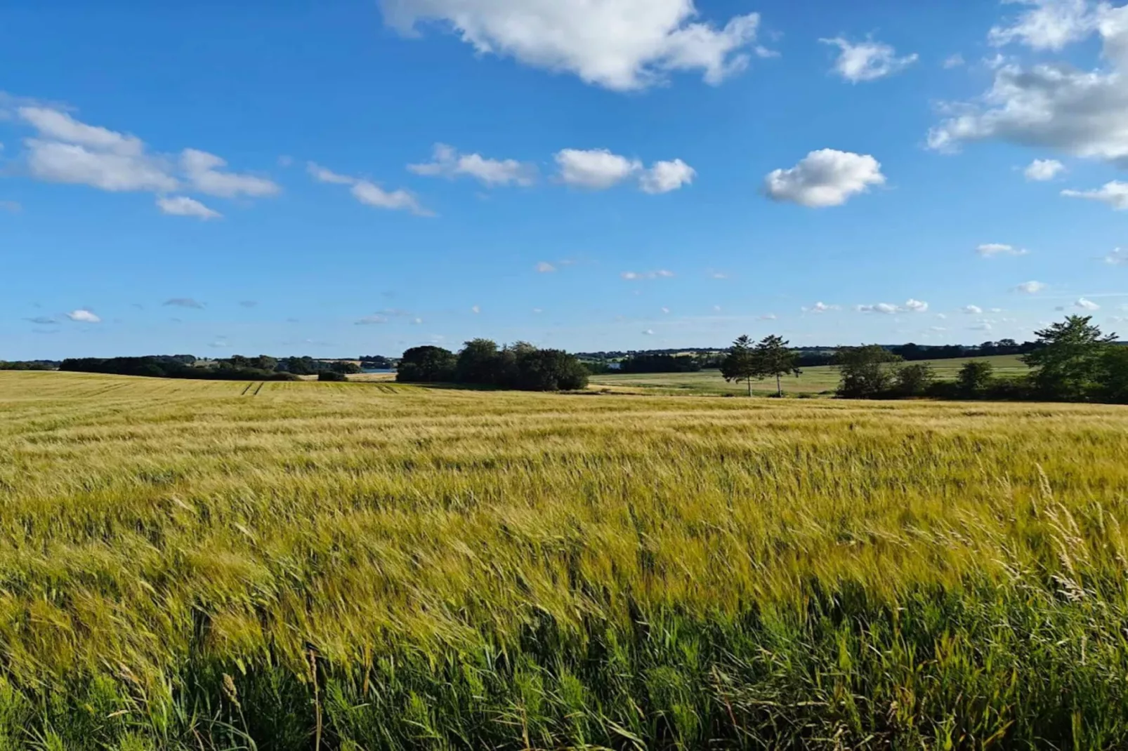 6 persoons vakantie huis in Hejls-By Traum