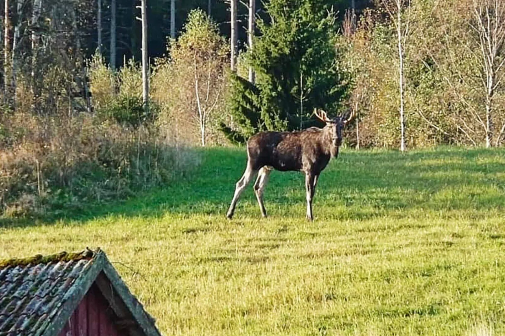 9 persoons vakantie huis in HÄLLEVADSHOLM-Niet-getagd