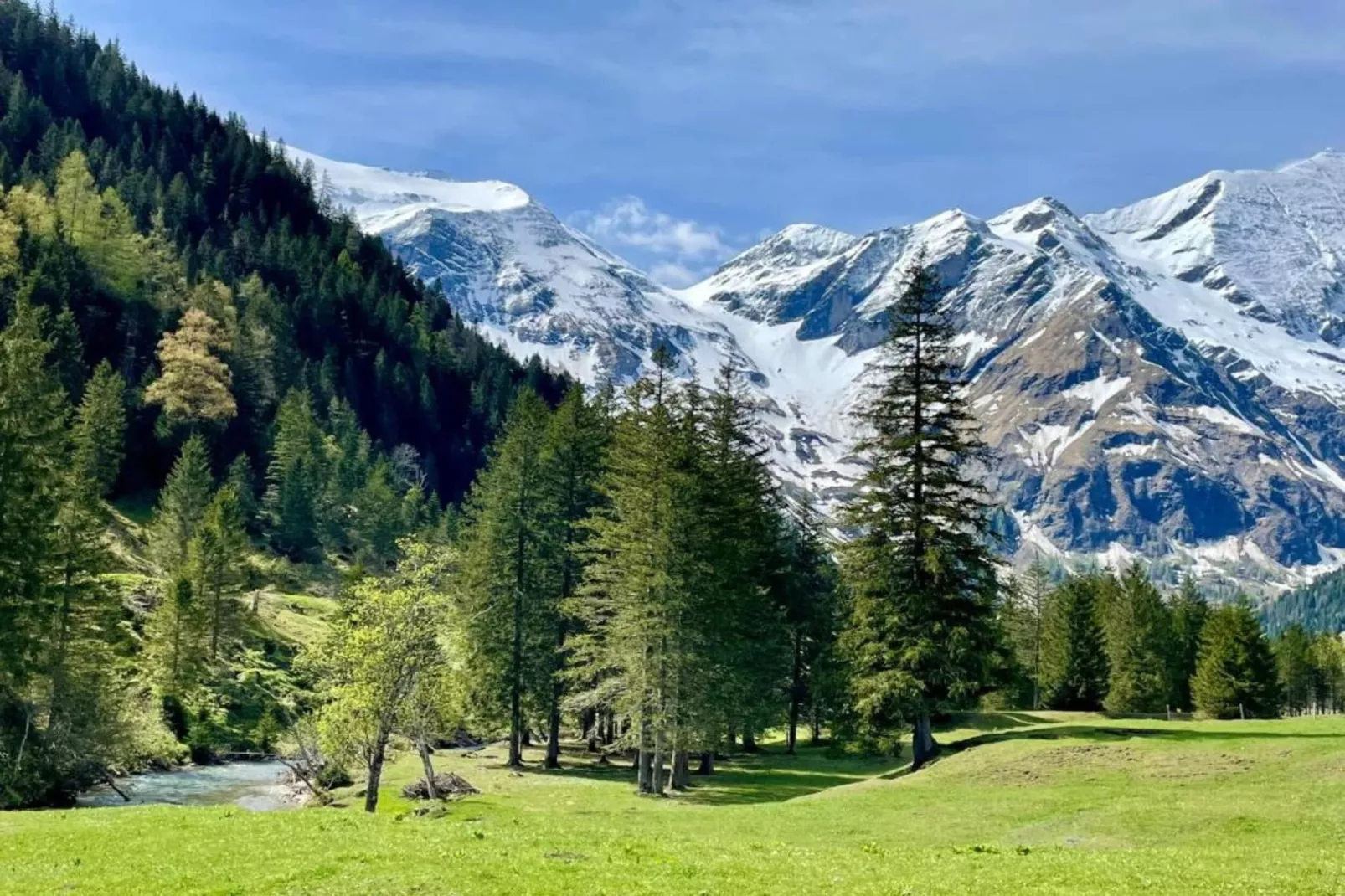 Ferienhaus Rieger-Gebieden zomer 20km