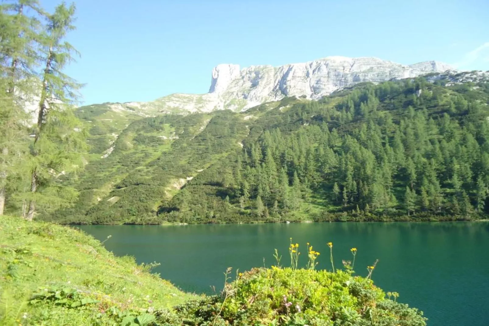 Kulmhof Tauplitz-Gebieden zomer 20km