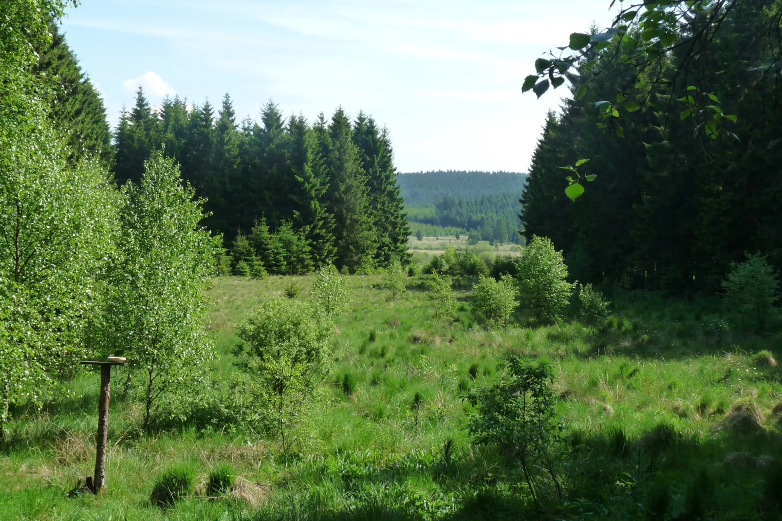 La Cabane-Gebieden zomer 5km