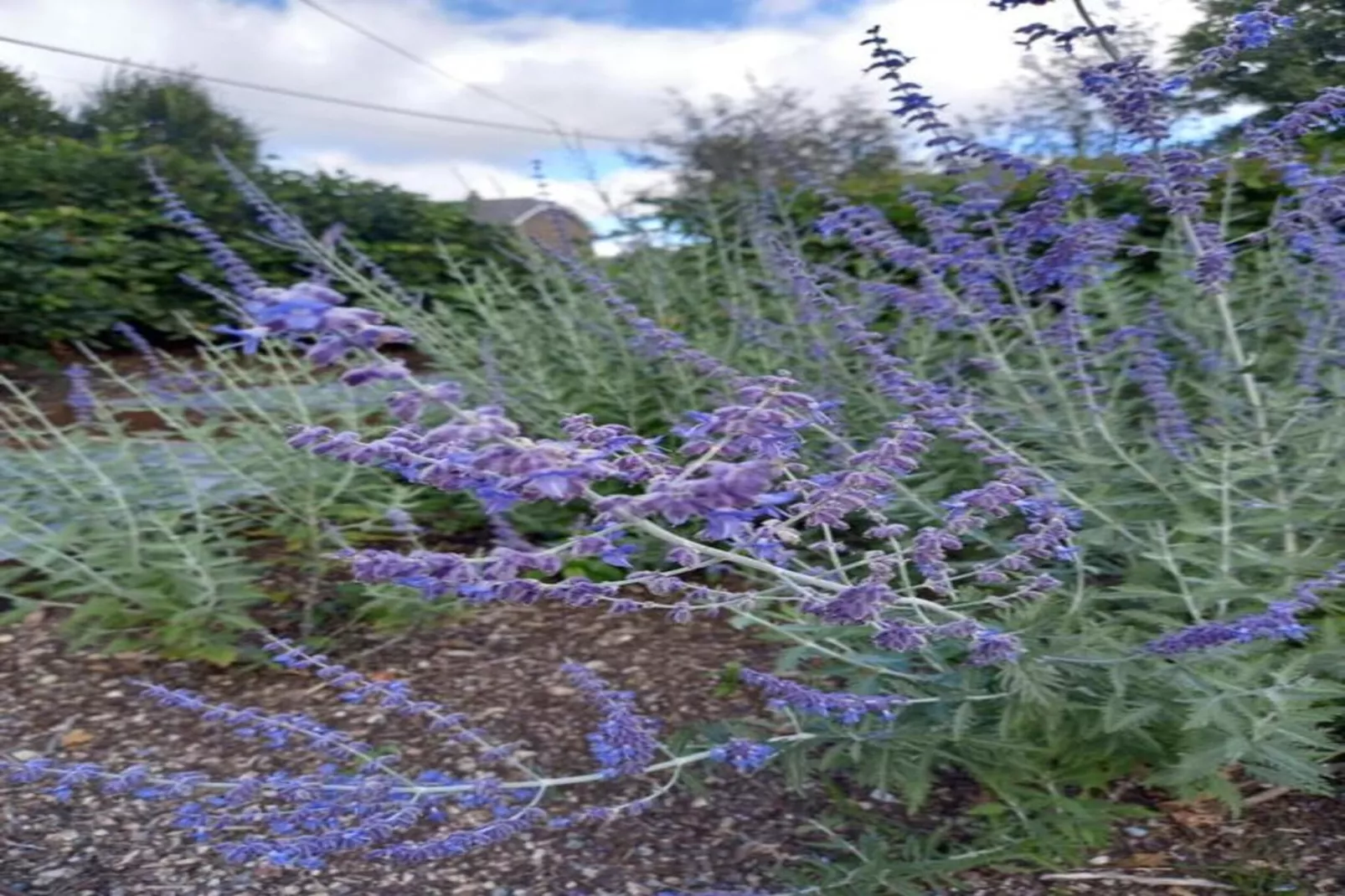 Au-dessus de la vallée-Gebieden zomer 20km