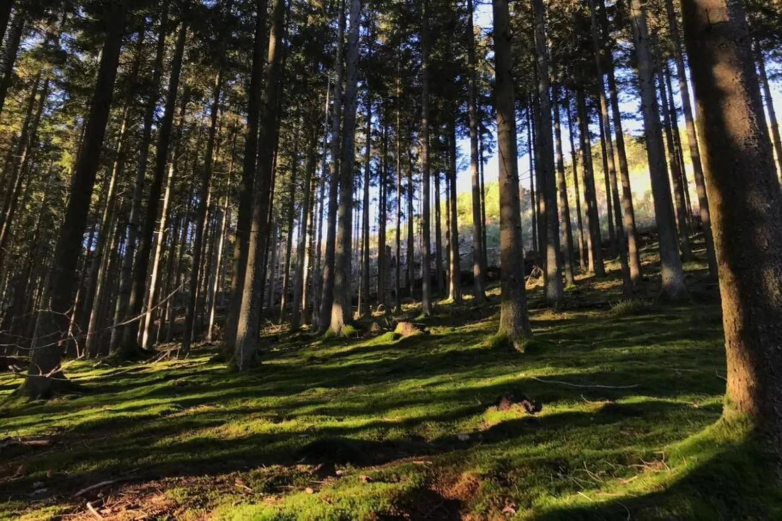 Superbe habitation pour 4 adultes-Gebieden zomer 5km