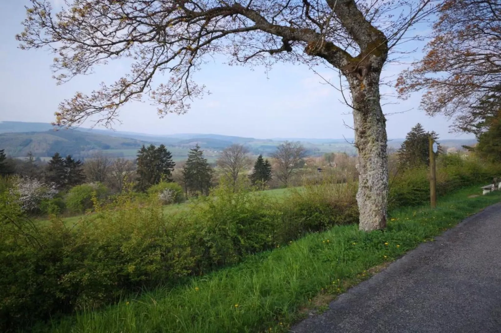 Horécalienne-Gebieden zomer 20km