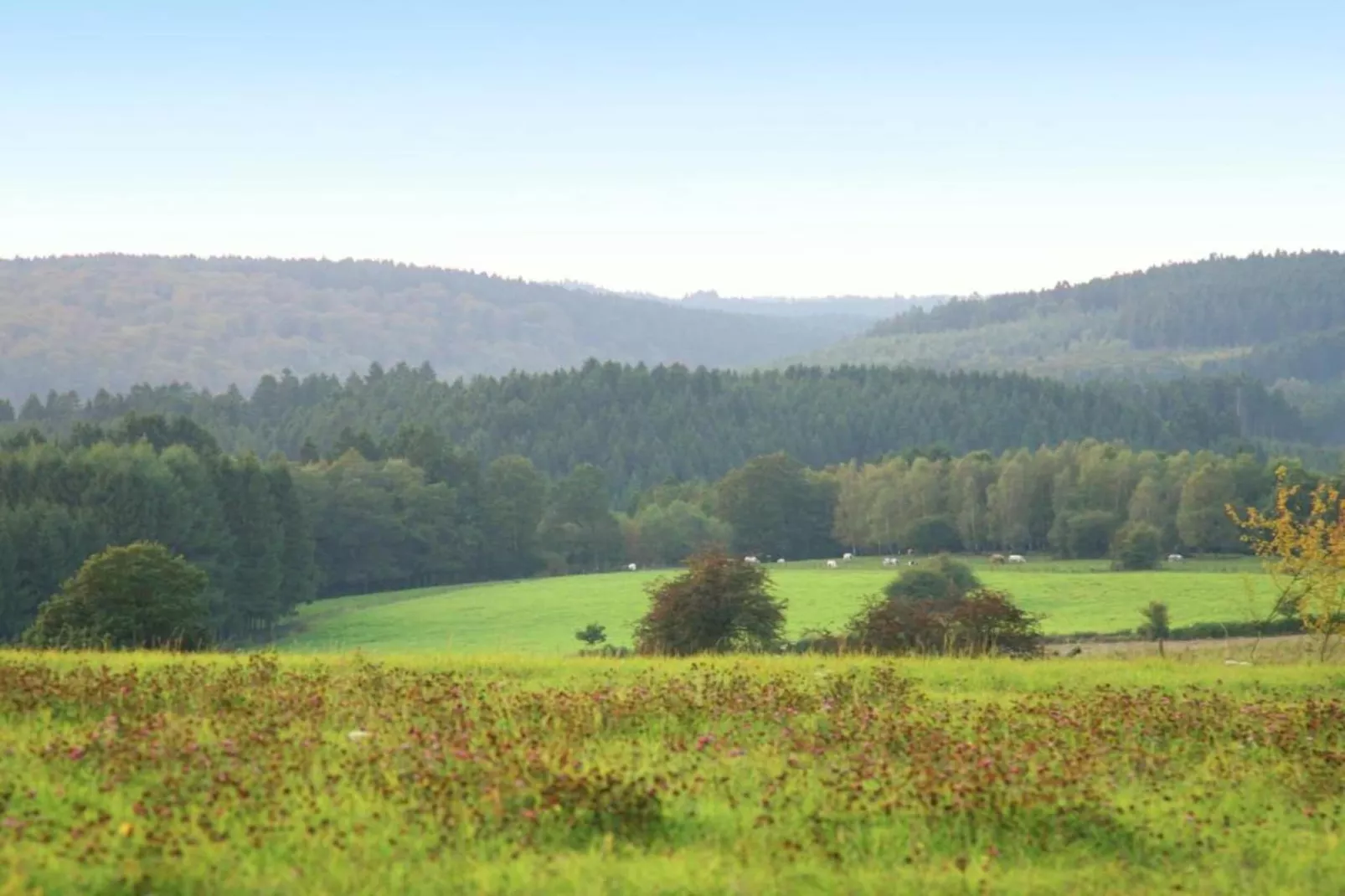 Le Skassi-Gebieden zomer 20km