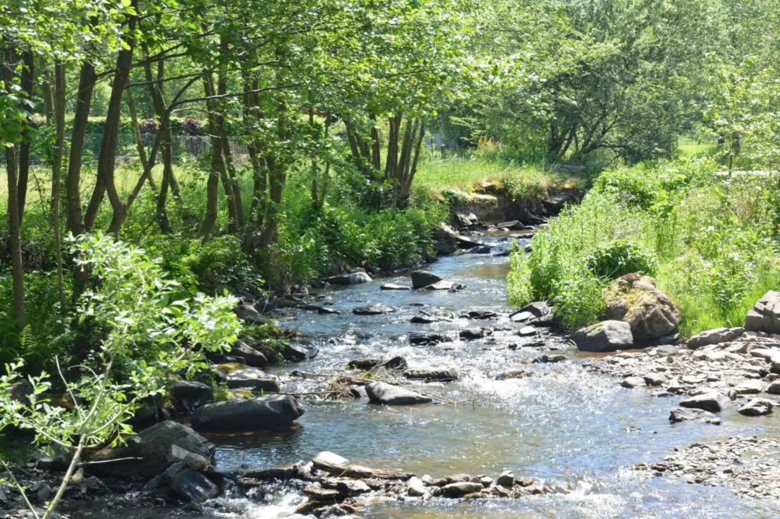Camping Petite Suisse 6-Gebieden zomer 5km