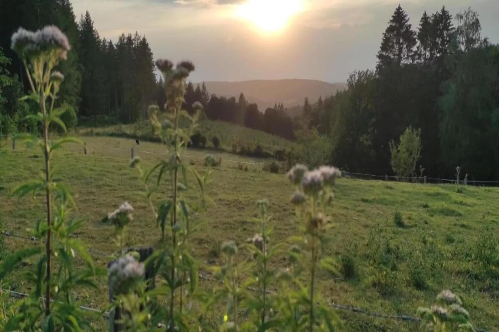 Li Grand Courti-Gebieden zomer 20km