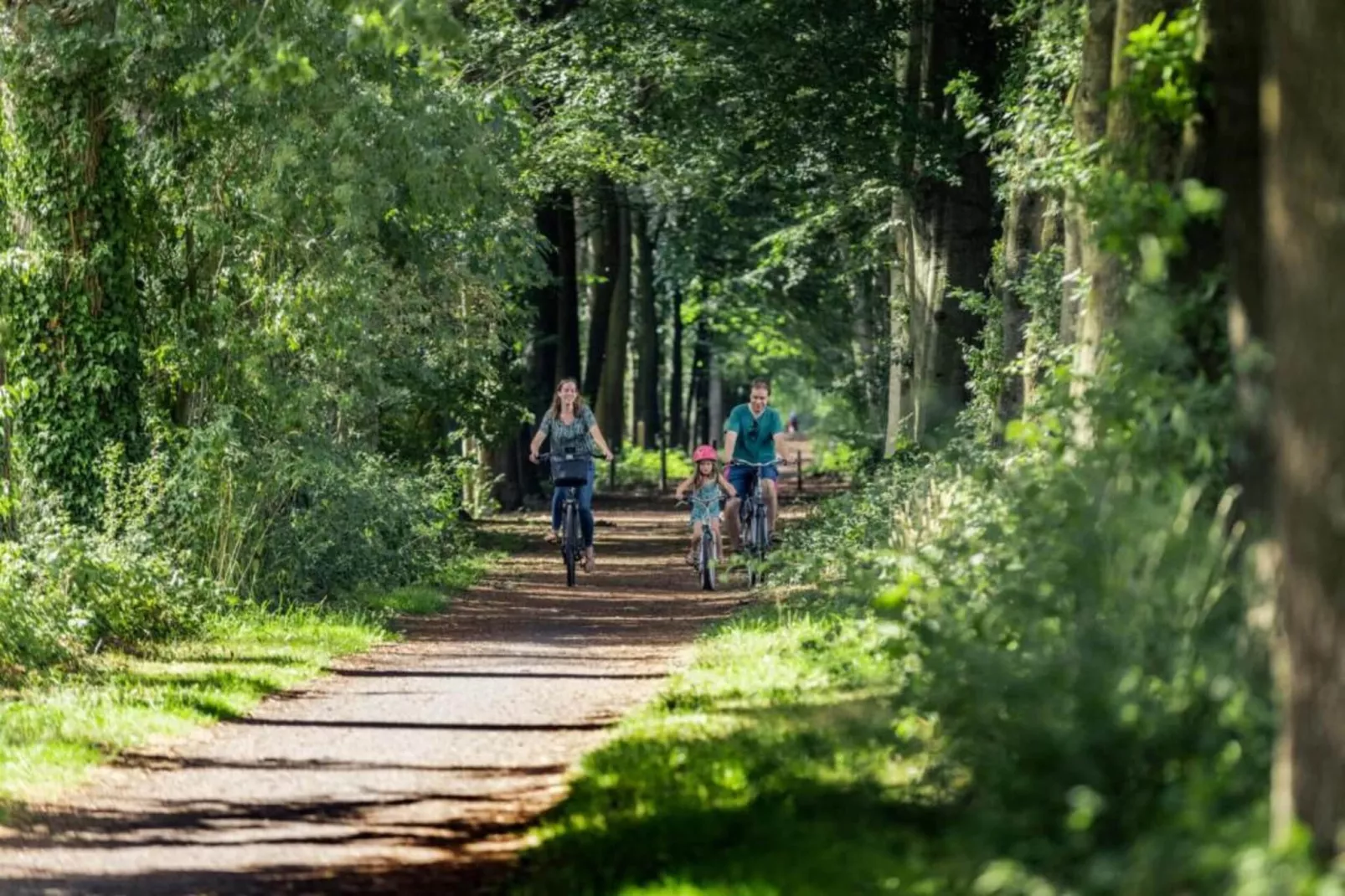 Casteeldoorn-Gebieden zomer 20km