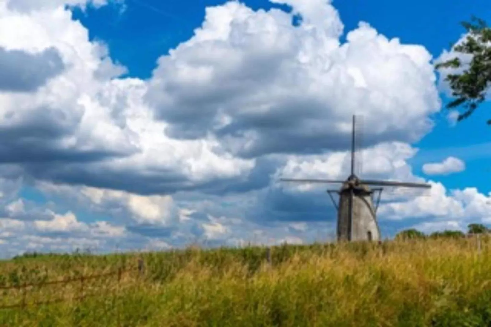 Wellness vakantiehuis Vlaamse Ardennen-Gebieden zomer 20km