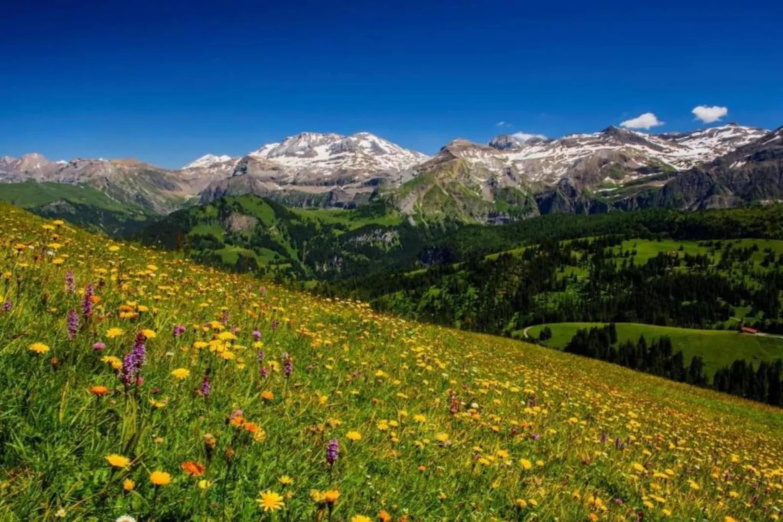 Appartement Salvisberg-Gebieden zomer 20km