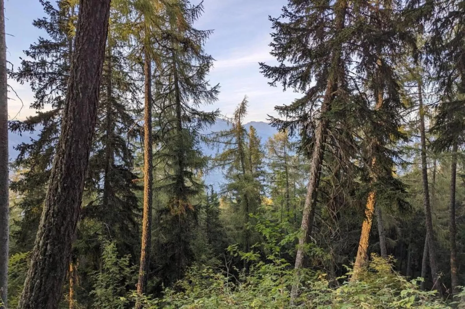Chalet Le Chaînon-Gebieden zomer 5km