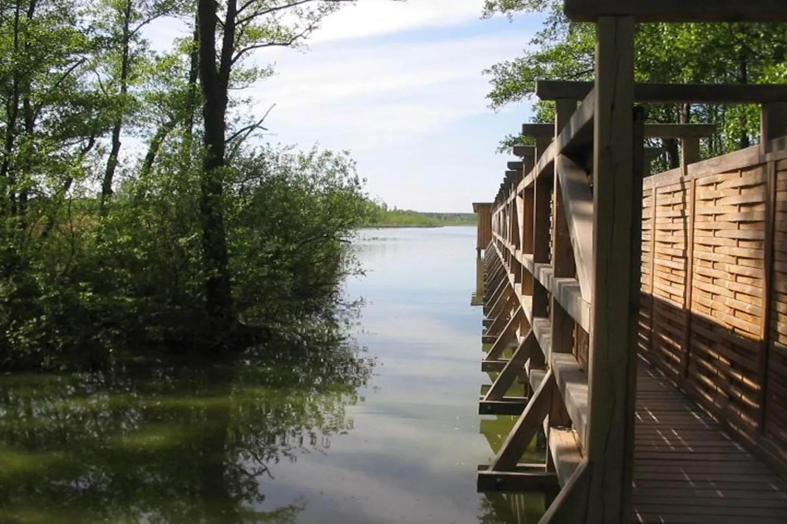 Bungalow 35 qm 2 Pers-Gebieden zomer 5km
