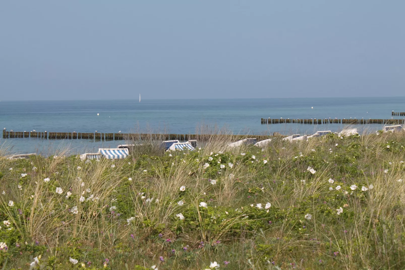 Kühlungsblick-Gebieden zomer 5km