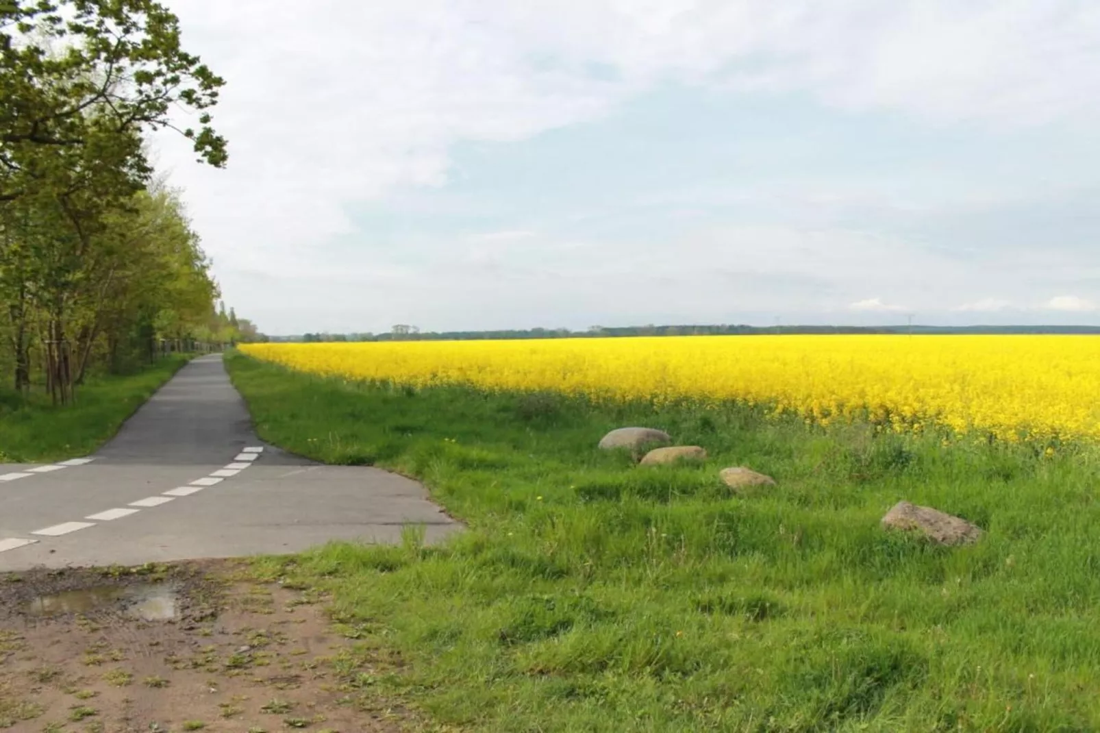 Dat Oole Huus 5-Gebieden zomer 1km