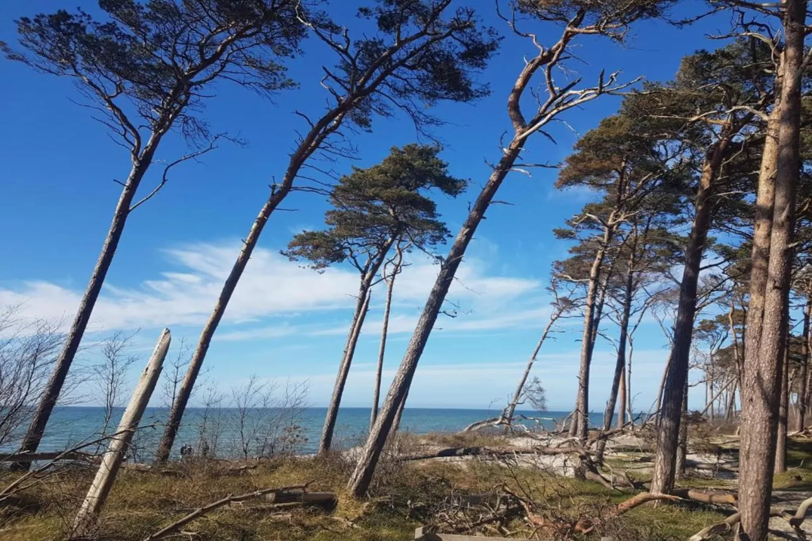 Die kleine Villa L-Gebieden zomer 20km