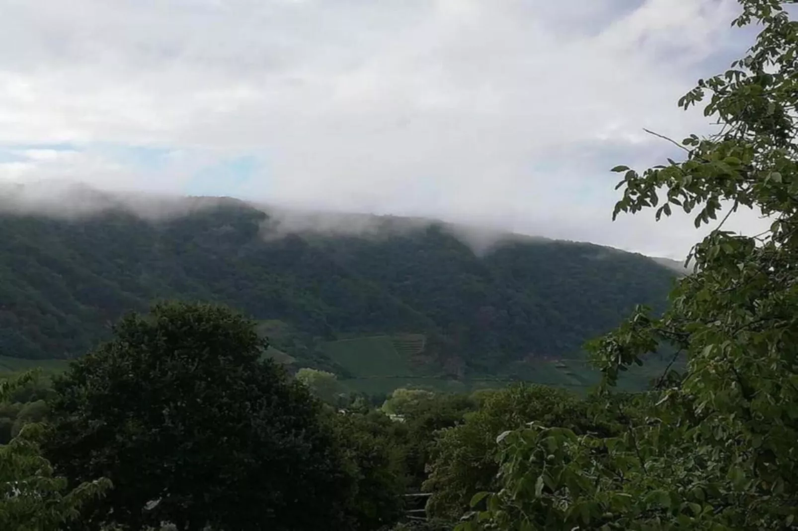 Ferienwohnung mit Moselblick-Gebieden zomer 20km
