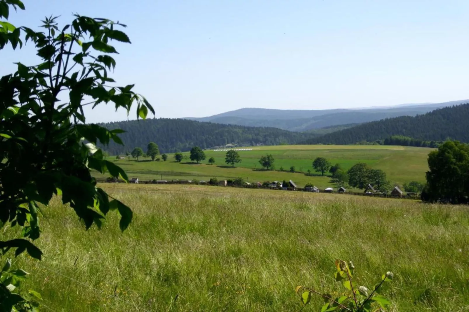 Tannenbergsthal-Gebieden zomer 20km