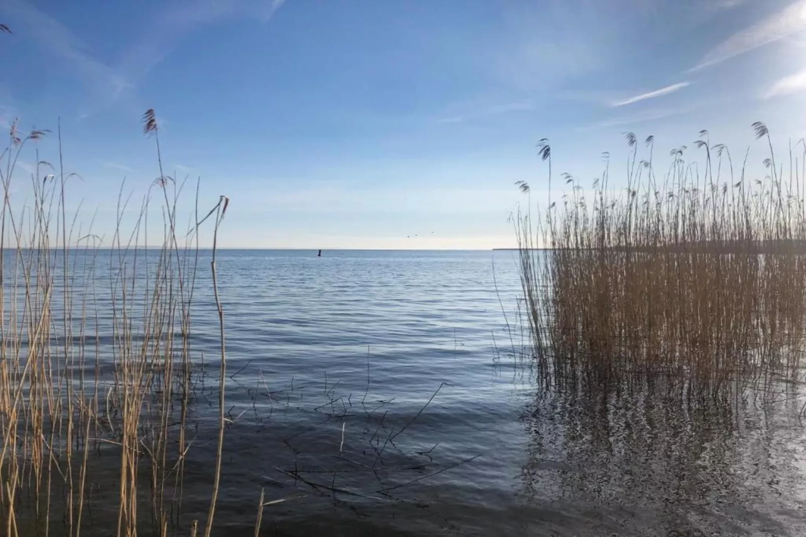 Ferienhaus Ahlbeck am Haff - Schlafen unter Reet / 2-Gebieden zomer 20km