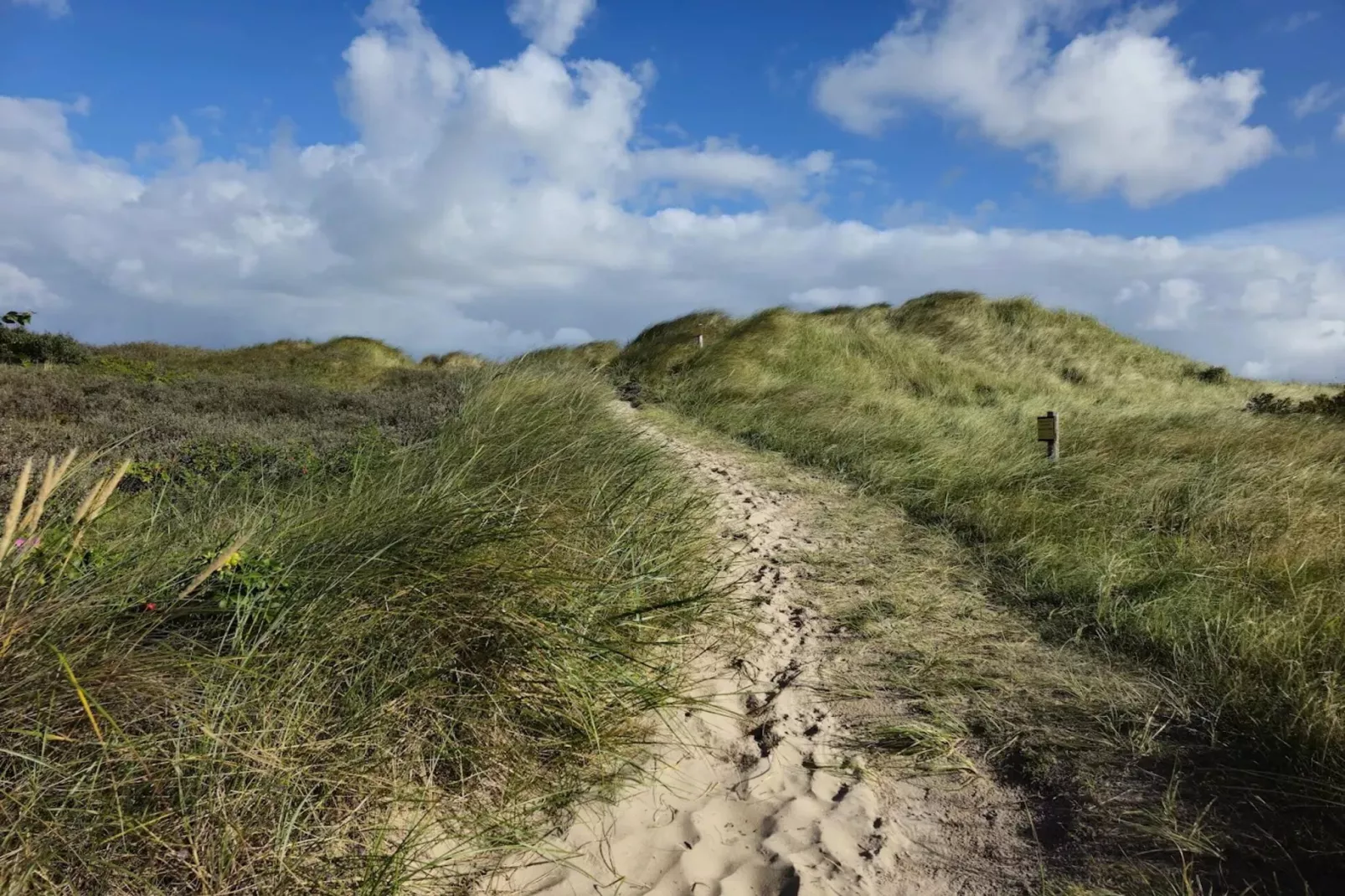 Ferienwohnung Sommerdeich  2 Personen-Gebieden zomer 5km